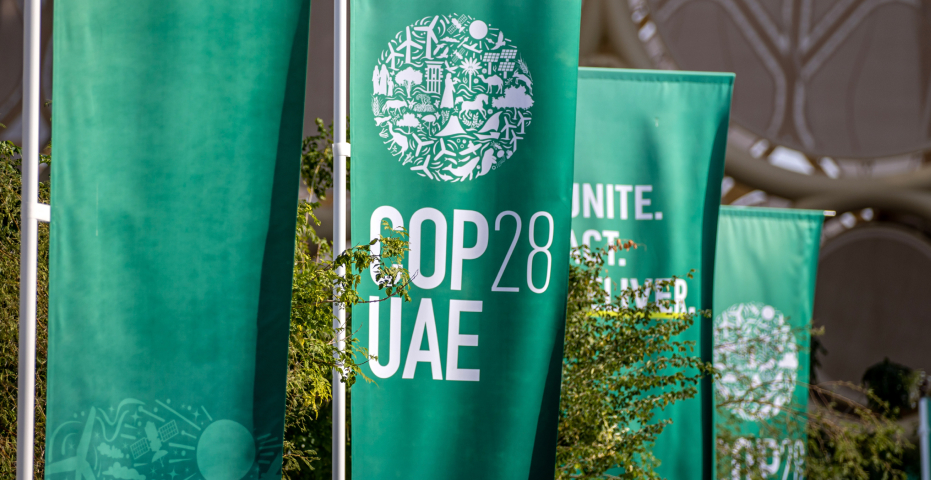 На COP28 нет консенсуса по отказу от ископаемого топлива