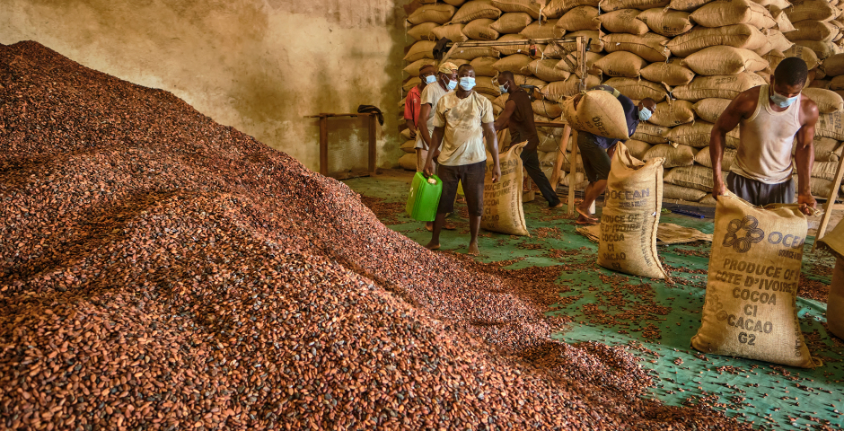 Цена какао впервые в истории превысила $11 тыс. за тонну