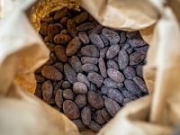 Цена какао впервые в истории превысила $10 тыс. за тонну