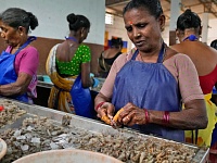 Индия нарастит экспорт морепродуктов в 1,5 раза в ближайшие два года