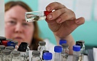 В России впервые тестируют биотехнологию выращивания исчезающей нельмы