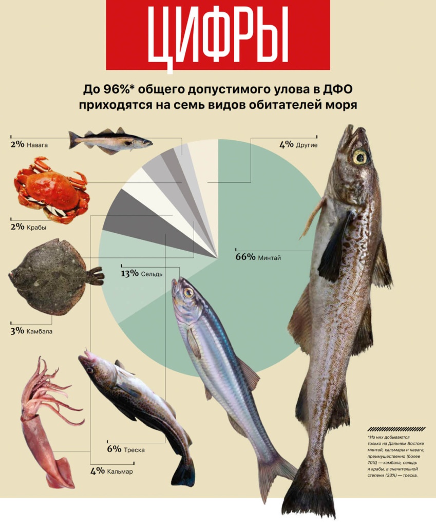 До 96% общего допустимого улова в ДФО приходятся на семь видов обитателей моря