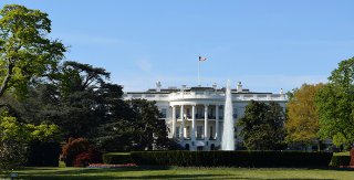 NYP: Дональд Трамп встретится с Владимиром Путиным при условии его переговоров с Владимиром Зеленским