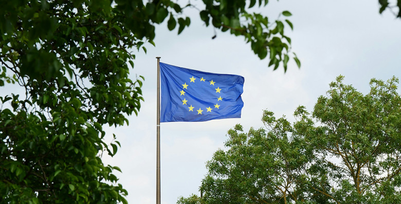 Российских дипломатов обязали уведомлять о поездке в ЕС за 24 часа Российских дипломатов обязали уведомлять о поездке в ЕС за 24 часа