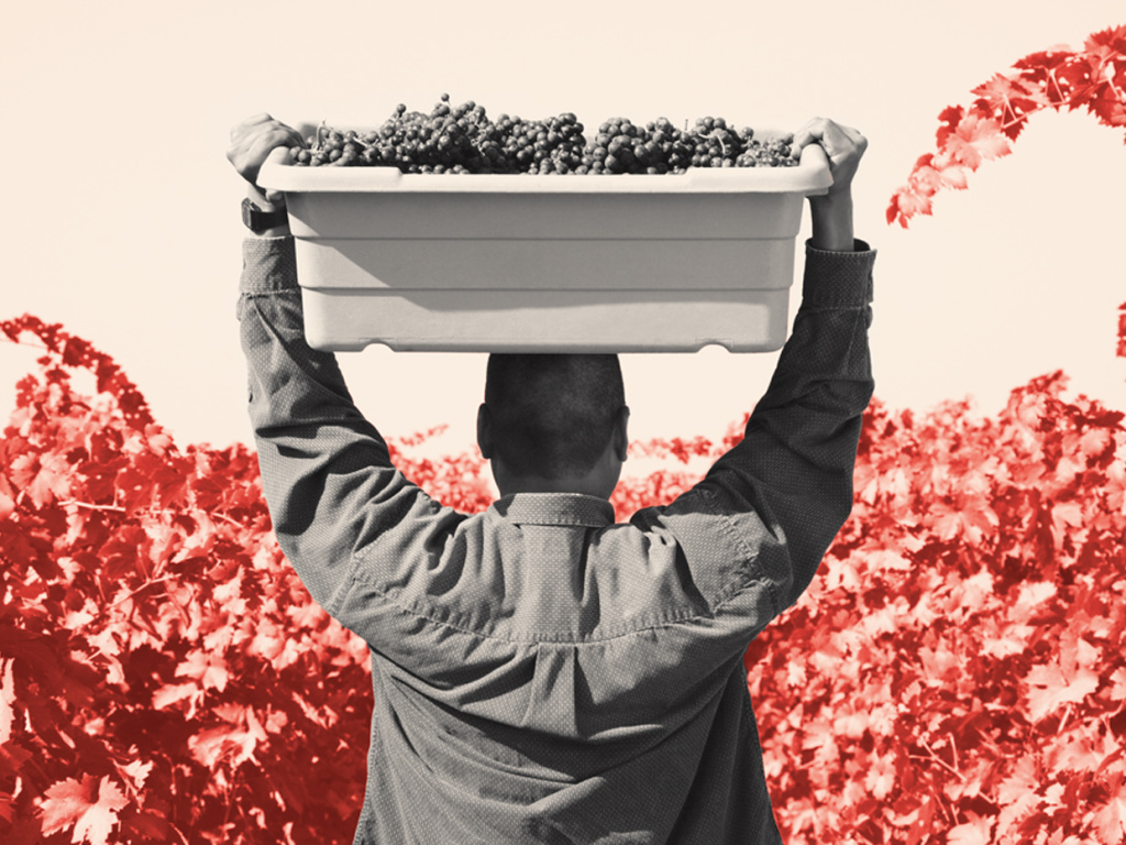 Продукт большой выдержки