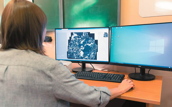 Как в УрФУ будут создавать экономику будущего