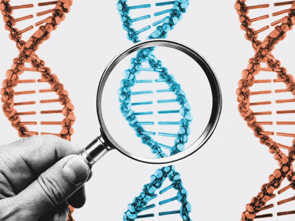 Осмотр на&nbsp;молекулярном уровне