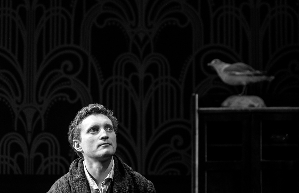 чайка внутрь 2.jpg