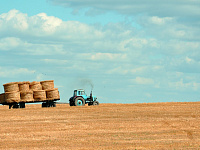 Кабмин определил нуждающиеся в приоритетной поддержке отрасли экономики РФ