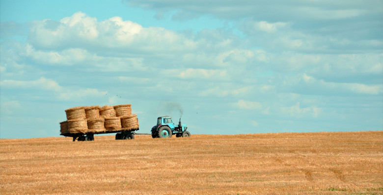 Кабмин определил нуждающиеся в приоритетной поддержке отрасли экономики РФ