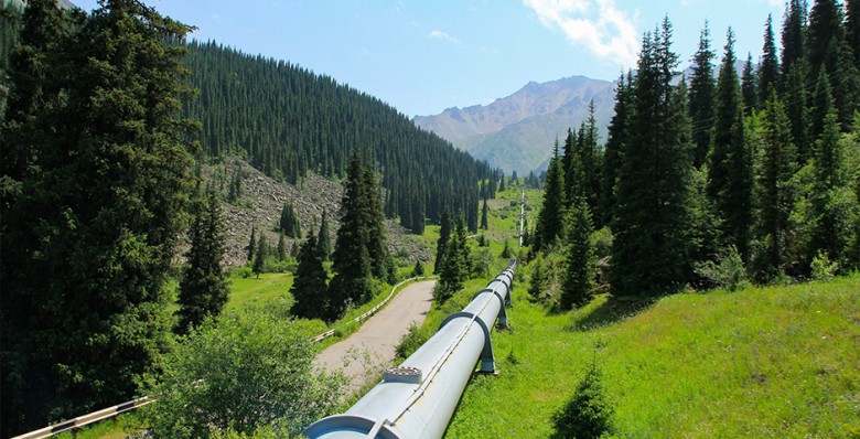 Кремль допустил участие Украины в атаке на газопровод Сербии