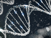 В Госдуму внесли проект об ограничении передачи генетических данных за рубеж