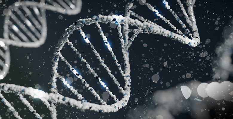 В Госдуму внесли проект об ограничении передачи генетических данных за рубеж