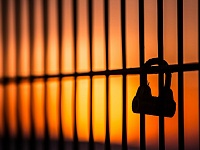 Новые меры по борьбе с кибермошенниками будут включать уголовную ответственность