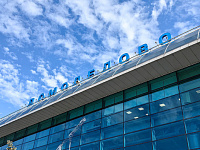 Начальная цена Домодедово на аукционе 20 января превысит 132 млрд рублей