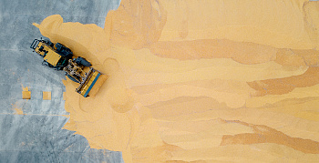 Зерно оставляют на карантине