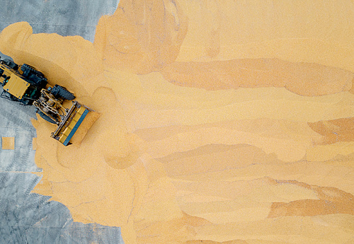 Зерно оставляют на карантине