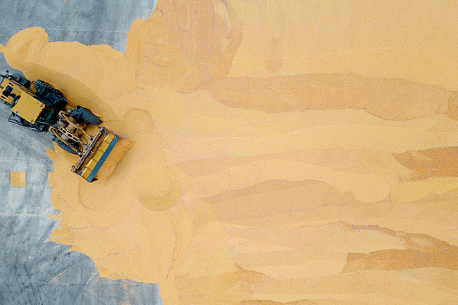 Зерно оставляют на карантине