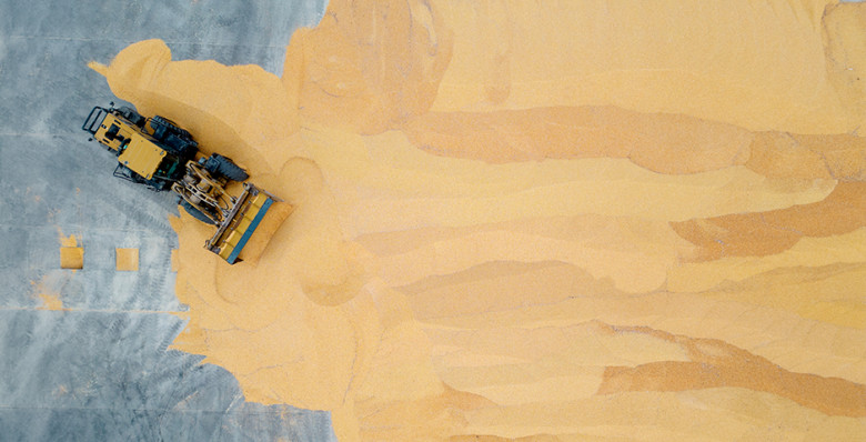 Зерно оставляют на карантине