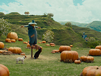 «Волшебник Изумрудного города» стал самым кассовым фильмом в России в 2025 году