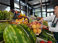 Самозанятым разрешат добровольно подключаться к социальному страхованию