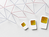 Вячеслав Володин оценил число заблокированных из-за превышения лимита SIM-карт