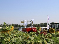 Агропромышленный комплекс Ингушетии ориентируют на экспорт