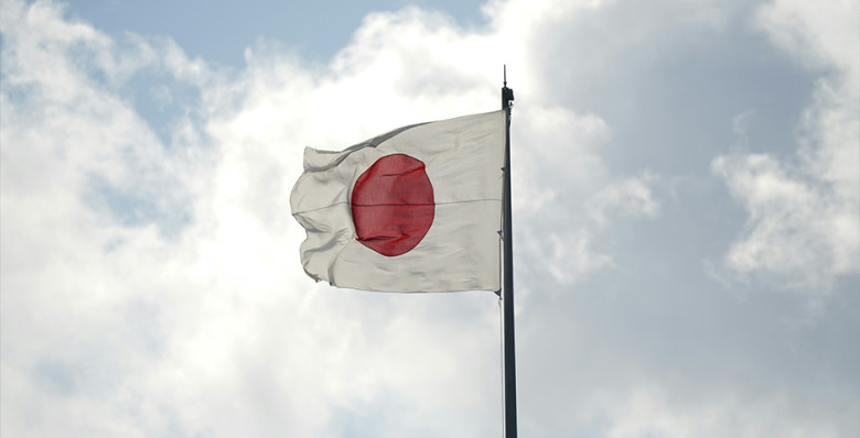 В Японии создали аналог DOGE Илона Маска