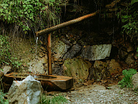 В Муроме сообщили о более 100 случаях отравления