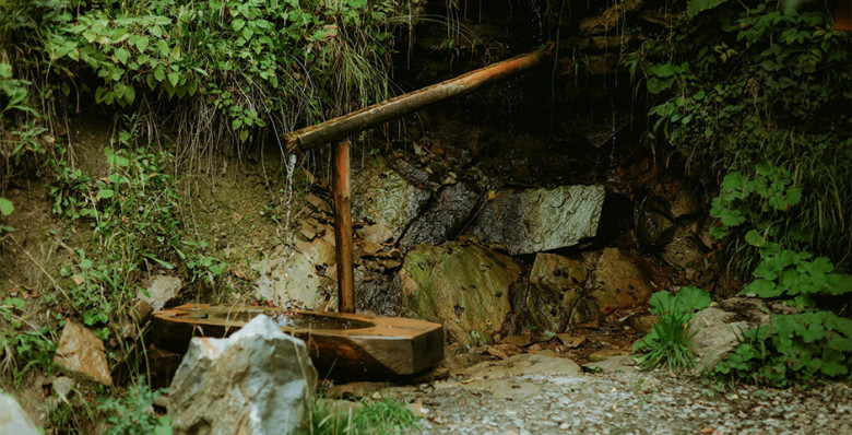 В Муроме сообщили о более 100 случаях отравления