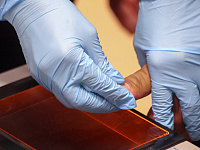 Эксперимент по сбору биометрии у въезжающих в РФ иностранцев продлили до 2027 года