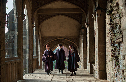 Гарри Поттера разложили по сериям