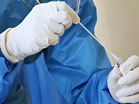 Роспотребнадзор сообщил об отсутствии случаев завоза вируса Нипах в Россию