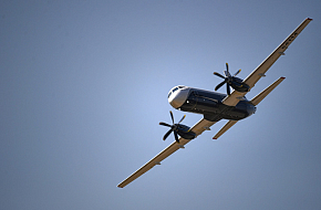 Перелетные сроки