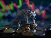 Акции Ozon упали почти на 8% после возобновления торгов на Мосбирже