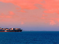 Владимир Путин оценил объем товарооборота с Индией по итогам года