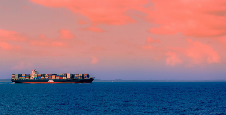 Владимир Путин оценил объем товарооборота с Индией по итогам года