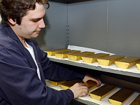 Российские золотые резервы впервые в истории превысили $300 млрд