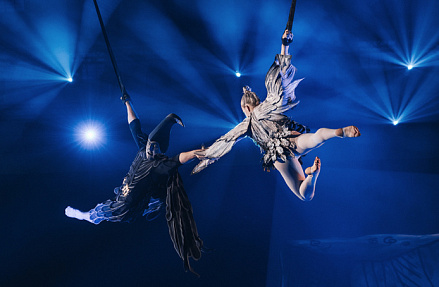 «Российский цирк — великий. Пора об этом вспомнить»