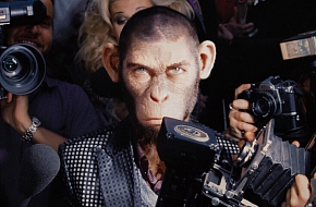 Как обезьяна борется с синдромом самозванца