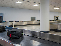 Air Arabia не доставила в Домодедово 90 чемоданов пассажиров 