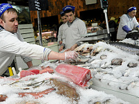 Владимир Путин заявил о недостатке рыбы и морепродуктов в рационе россиян