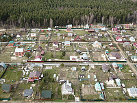 В Госдуме напомнили о штрафах до 700 тыс. рублей за борщевик