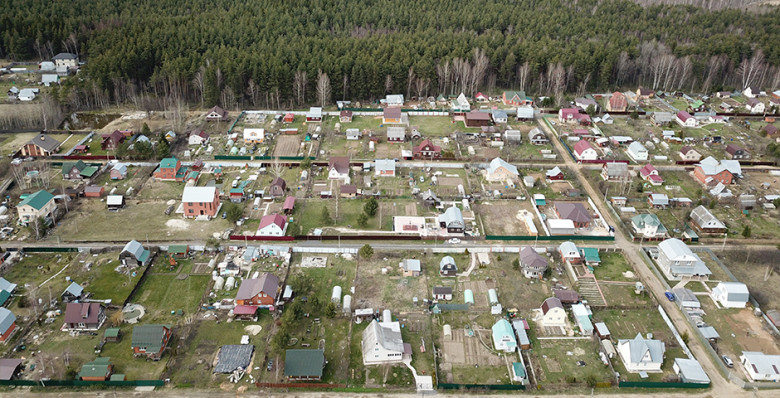 В Госдуме напомнили о штрафах до 700 тыс. рублей за борщевик