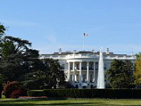 NYP: Дональд Трамп встретится с Владимиром Путиным при условии его переговоров с Владимиром Зеленским