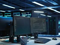 Российские IT-компании нарастили экспорт в страны Глобального Юга