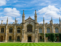 Кембриджский словарь назвал «парасоциальный» словом 2025 года