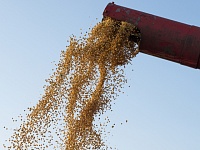 РФ безвозмездно обеспечила 20% годовой потребности стран Африки в зерне