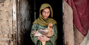 Суров закон, но афганский еще суровее