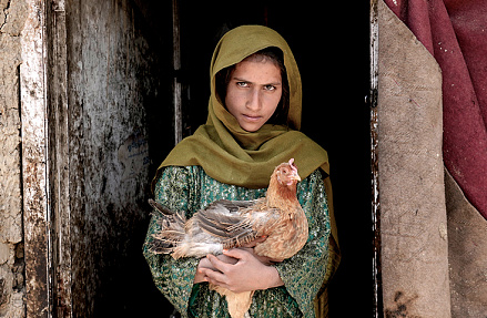 Суров закон, но афганский еще суровее